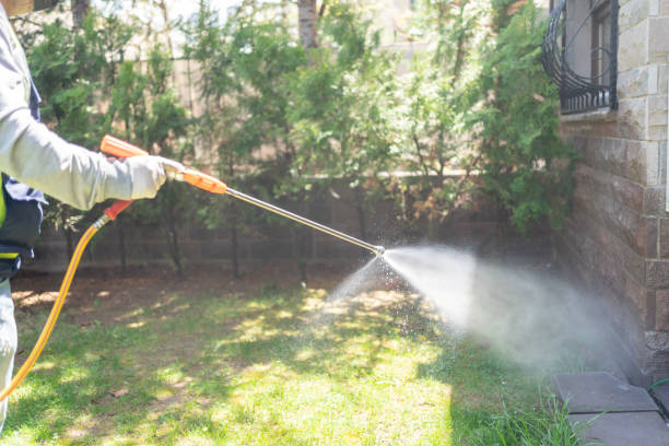 Best Spider Control Near Me  in Burns, TN