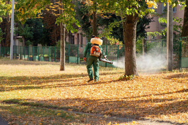 Best Termite Control Services  in Burns, TN