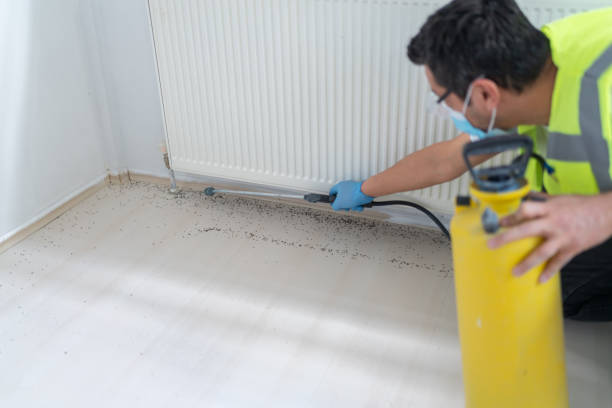 Best Exterminator Services  in Burns, TN