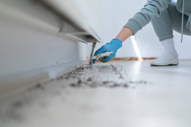 Best Cockroach Control Services  in Burns, TN